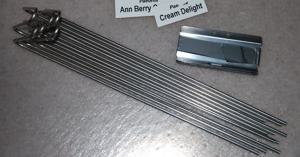 Southern Peony 2011 Peony Kincaid Garden Markers and Labels