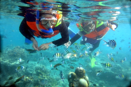 Keindahan Pulau Tidung Supranaturaljokowi.com Keindahan Pulau Tidung Supranaturaljokowi.com