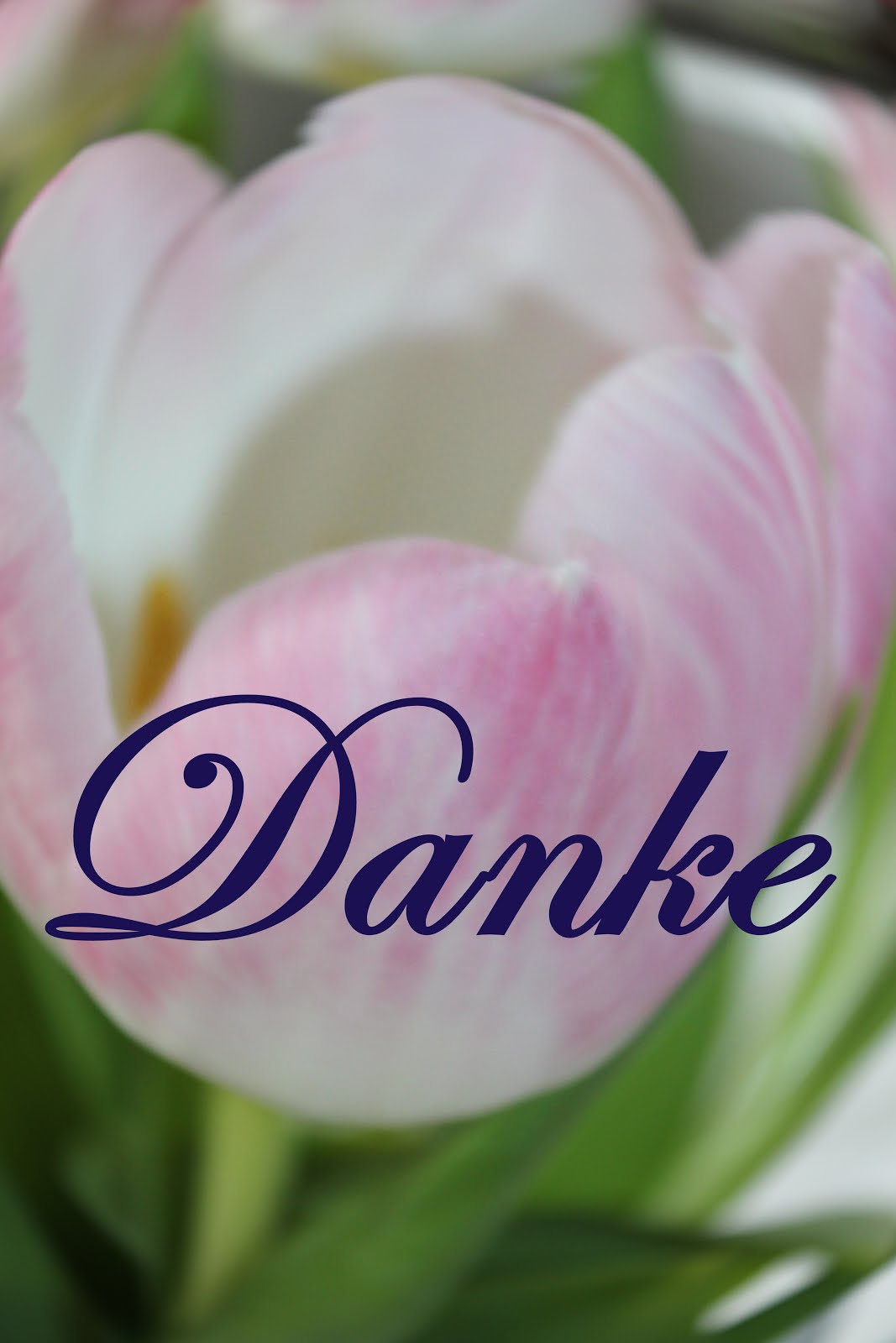Shabby Chic By Frances Liebe Kaffee Grusse An Alle Meine Lieben Leser