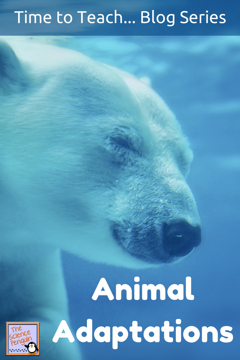 Time to Teach: Animal Adaptations — The Science Penguin