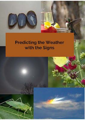 Some would call if folklore, I call it observation. Watching the signs will give you a heads up on what the weather will be like.