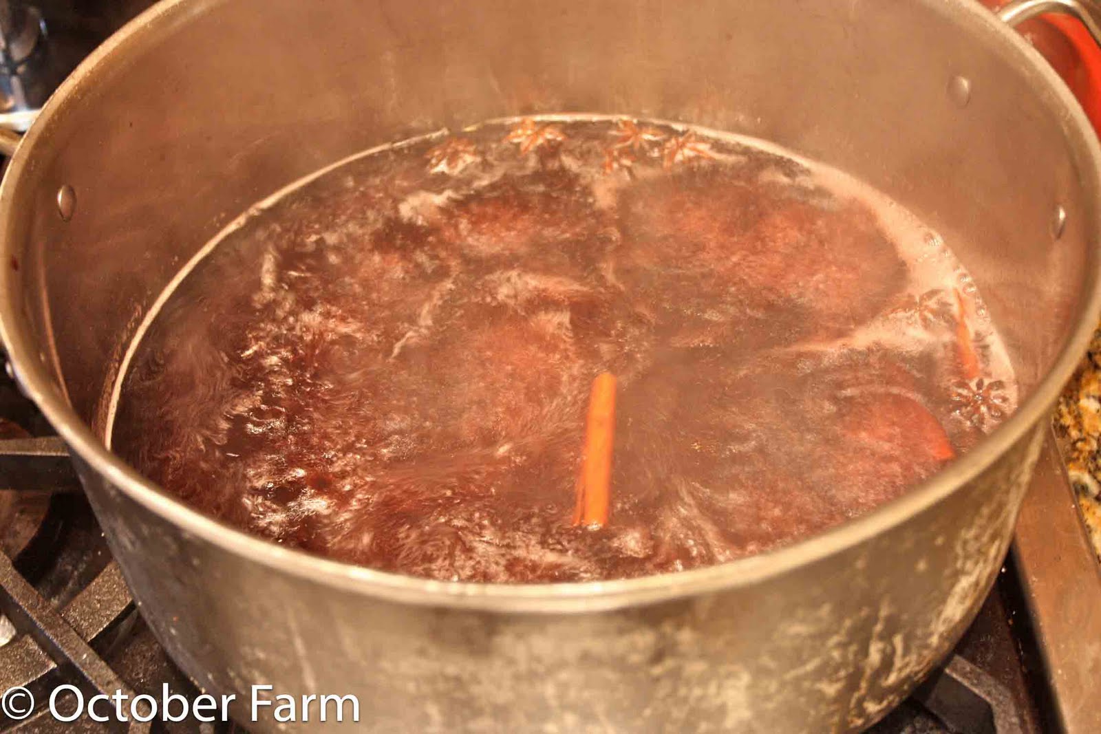 Cranberry Sauce and More Gravy Instructions