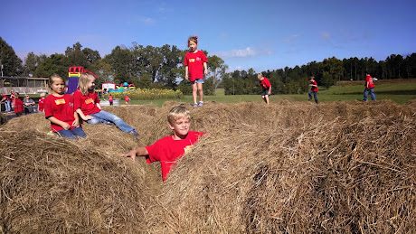 Pumpkin Patch