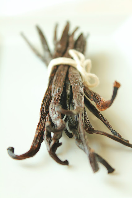 vanilla beans tied with twine