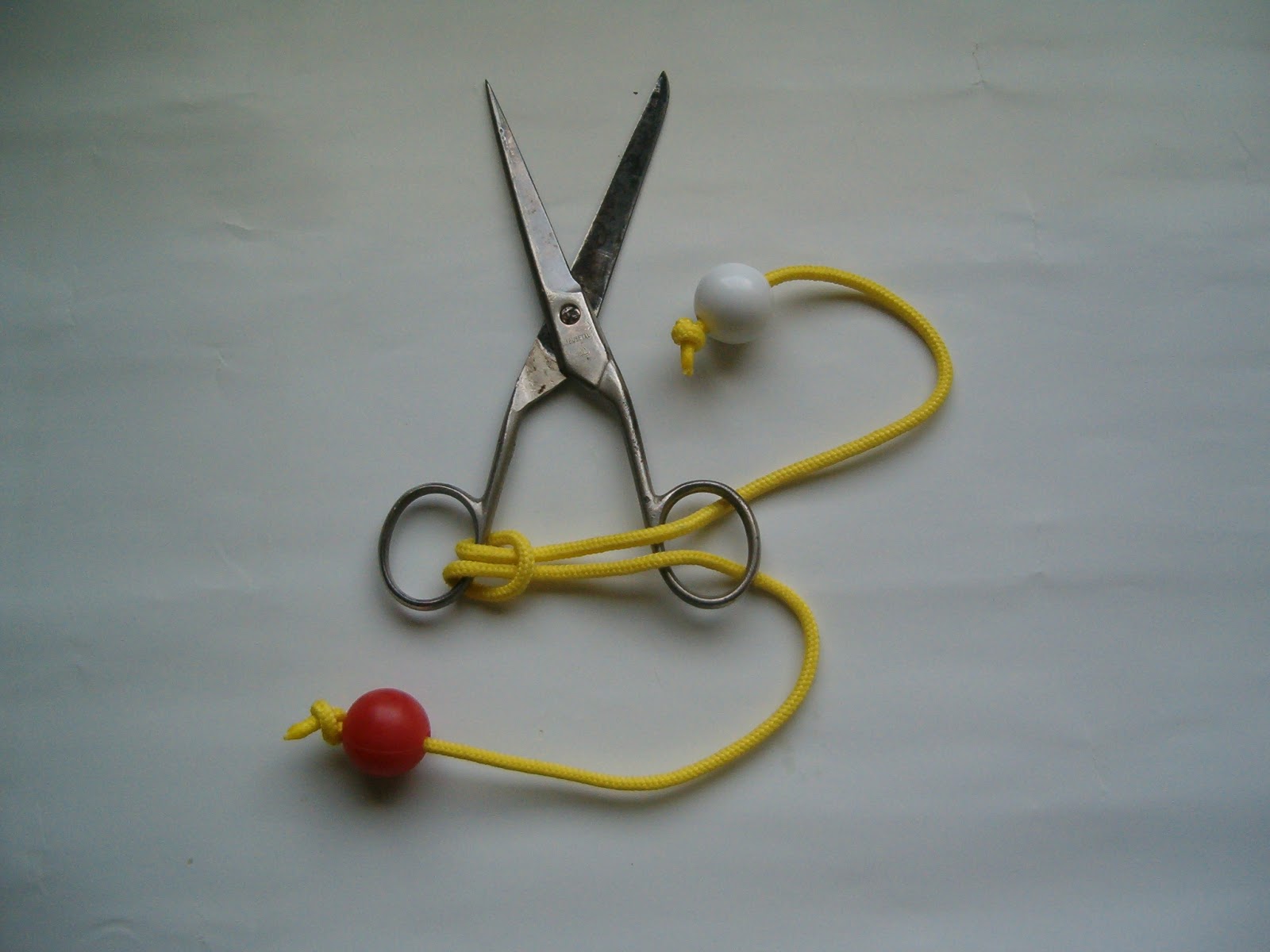 Fig. 1