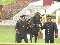 Esvicsac Evento Caballería