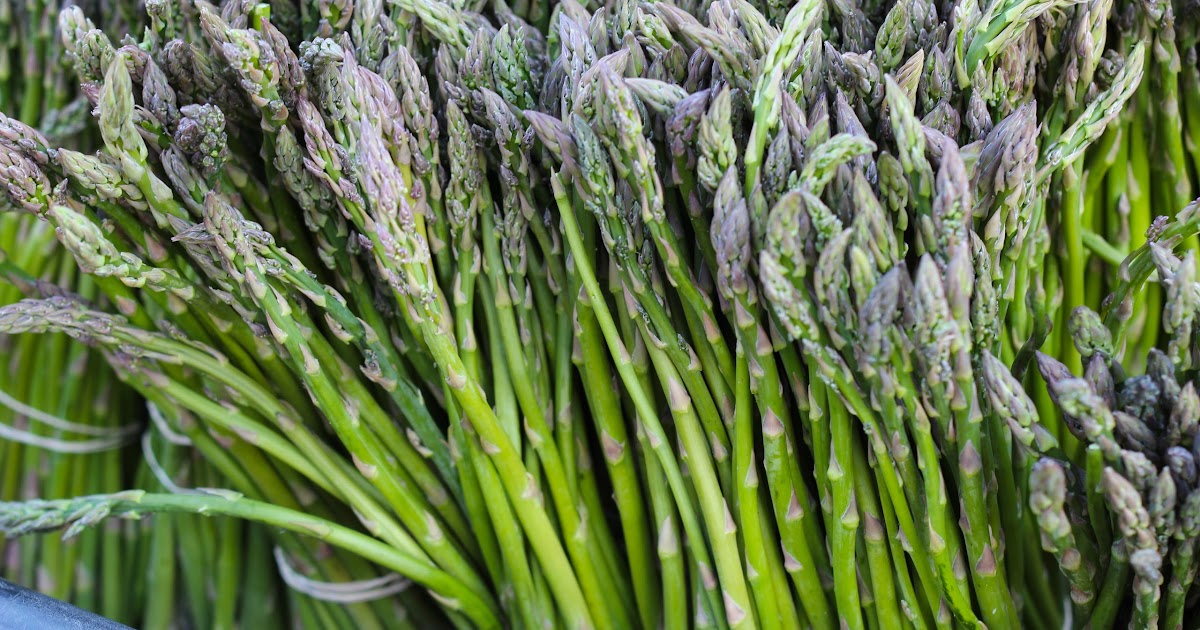 Holistic health 43. Asparagus will benefit the pregnant women
