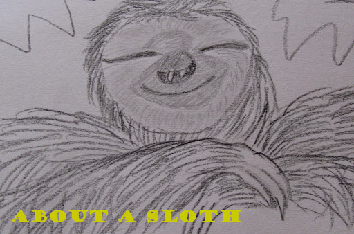 About A Sloth