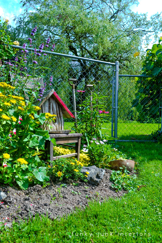Vegetation for algernon who is pass over kinnian new lawn mowing recommendations