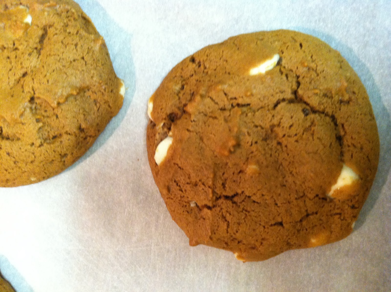 Just Winging It Show Your Stuff 32 Molasses White Chocolate Chip