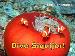 Dive Siquijor - Click on Image for Details: