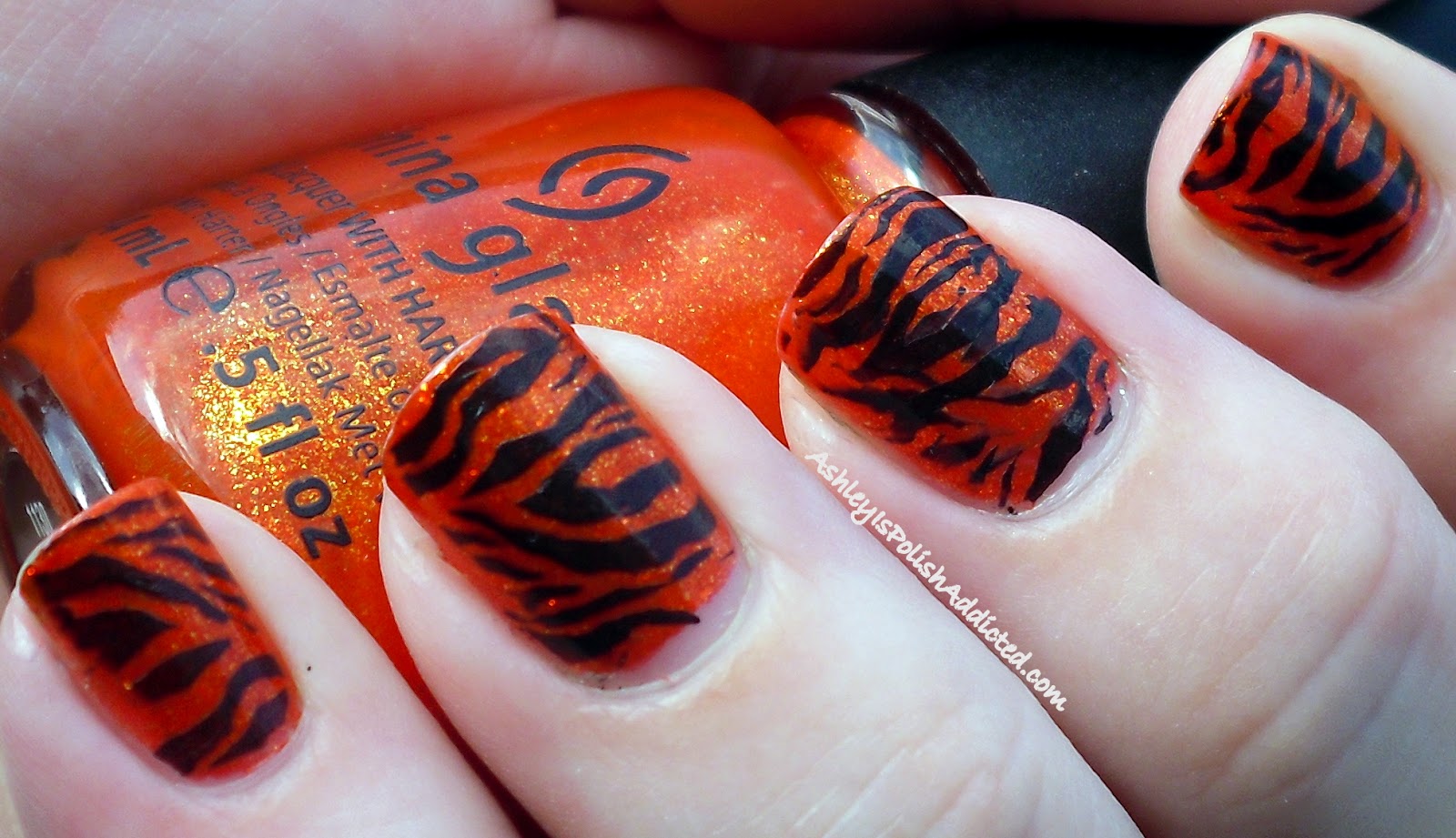 tiger striped roses