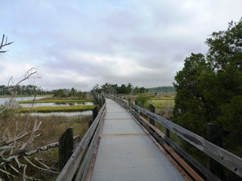 North Carolina Hikes Cedar Point Tideland Trail (Croatan National Forest)