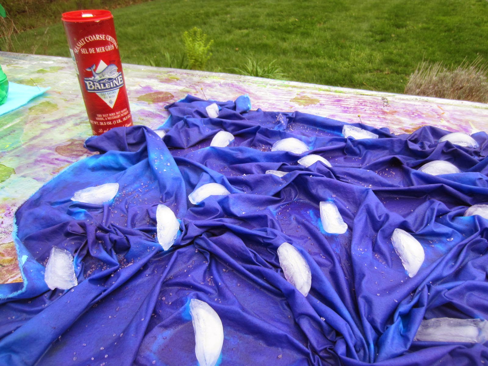 Carol R. Eaton Designs Combining Techniques = Dye, Fabric Paint & Ice