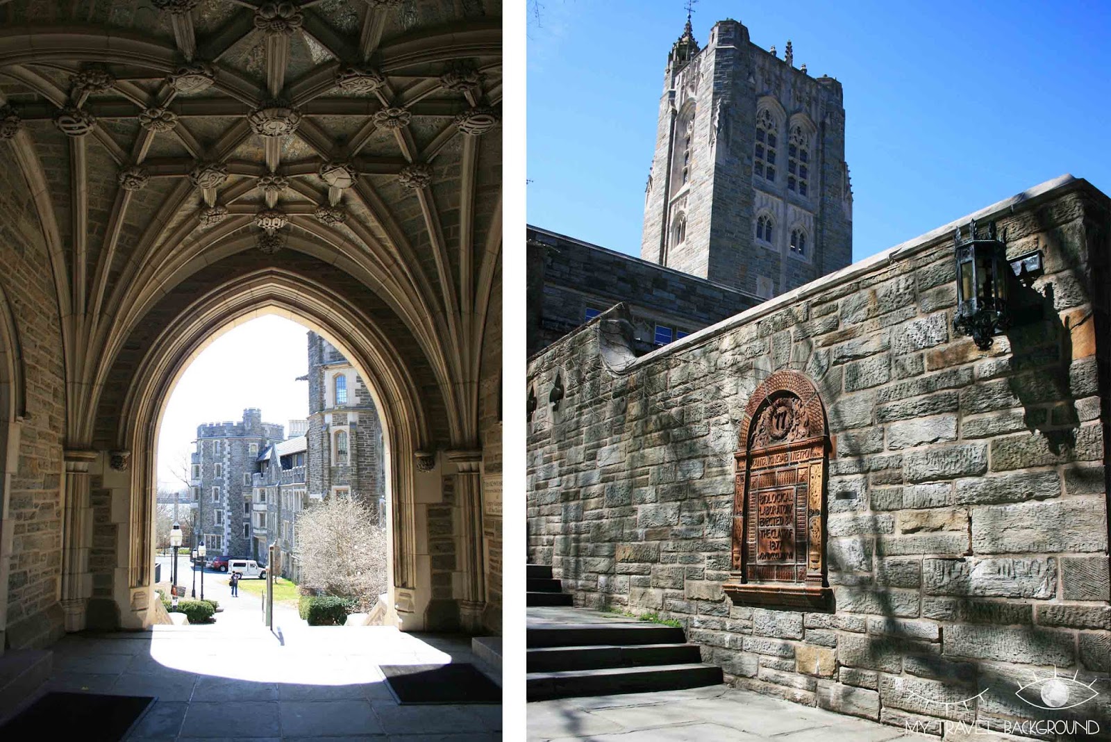 Les UNIVERSITES AMERICAINES de la côte NORDEST My Travel Background