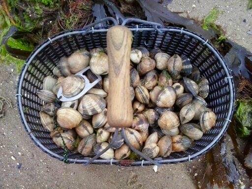 La pêche payante à smolenske et les domaines