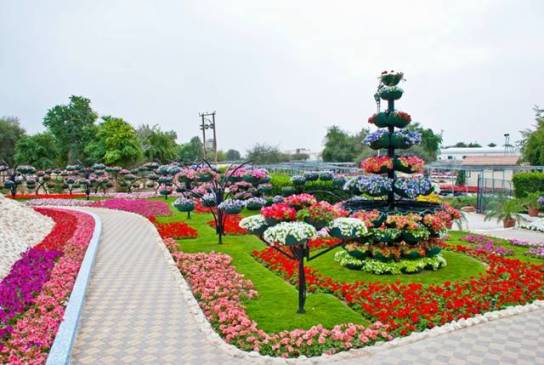 Al-Ain Paradise garden park flower