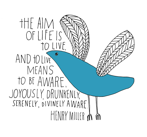 Funny Life Quotes Funny Life Quotes