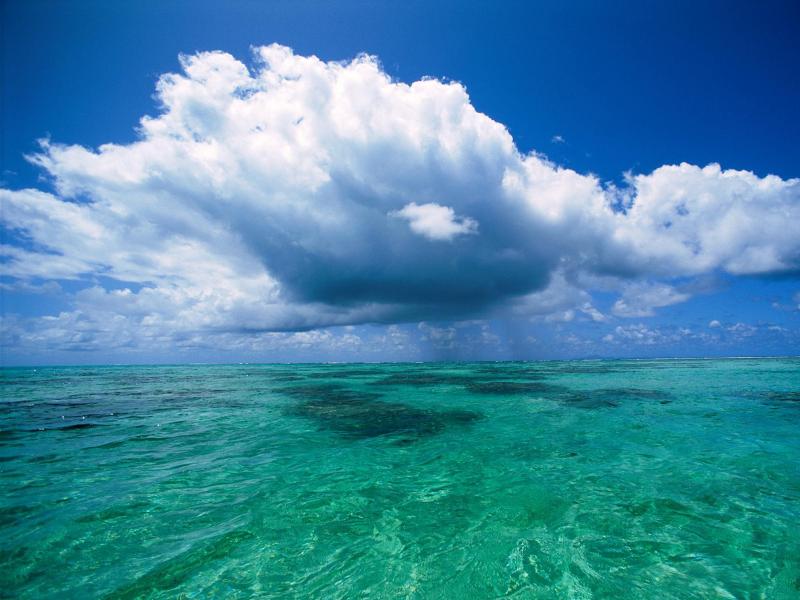 Wallpapers Free HD: Water