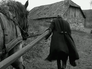 The Turin Horse (2011) The Turin Horse, The Old Master Retreats, directed by Bela Tarr