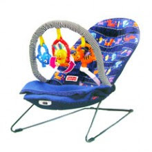 fisher price cover and play bouncer