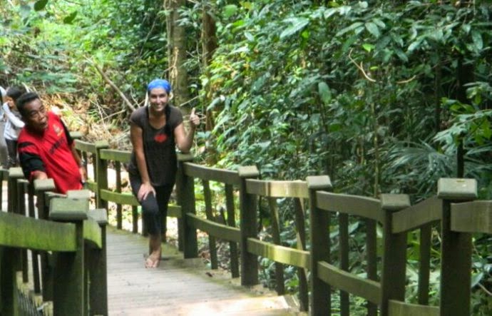 brunei canopy brunei canpoy