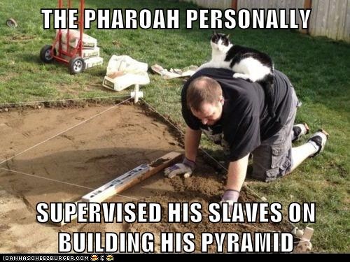 funny-cat-pictures-the-pharoah-personally-supervised-his-slaves-on-building-his-pyramid.jpg
