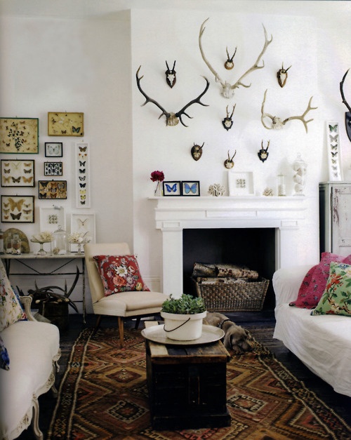 Home Decor Antlers | happy friday Home Decor Antlers | happy friday