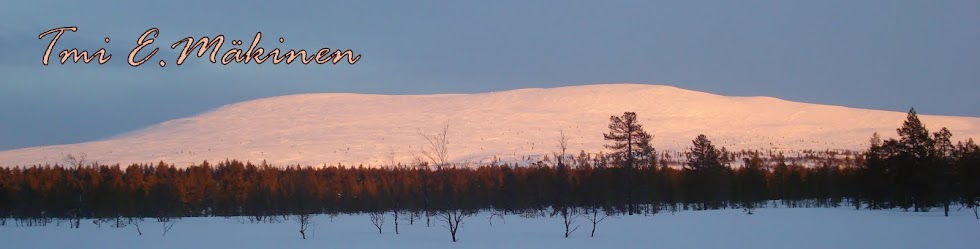 Tmi E.Mäkinen - lapinpuukkoja ja kuksia, sekä muita saamenkäsitöitä.