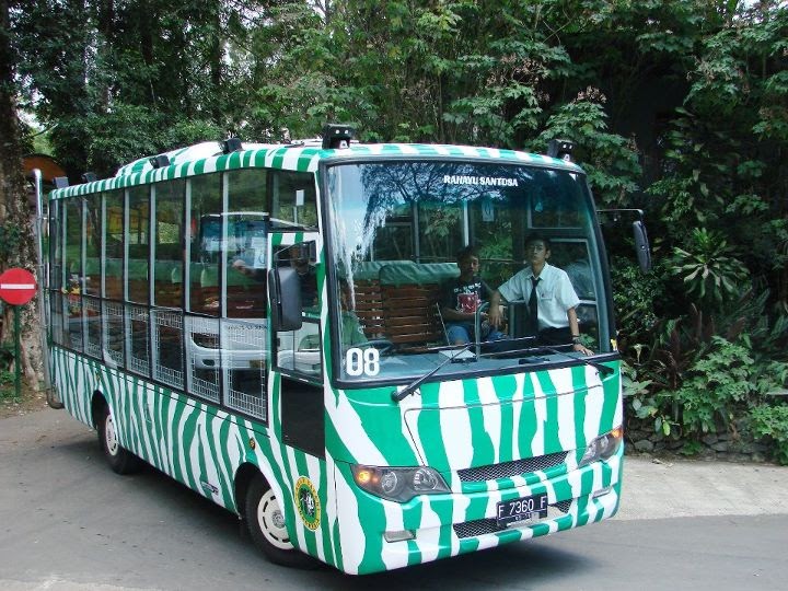 Garasibis: Bus Kebun Binatang | Taman Safari Indonesia