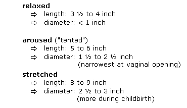 An average vaginal opening size opinion you An average vaginal opening size