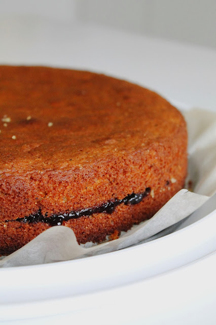 torta trentina: grano saraceno e mirtilli neri