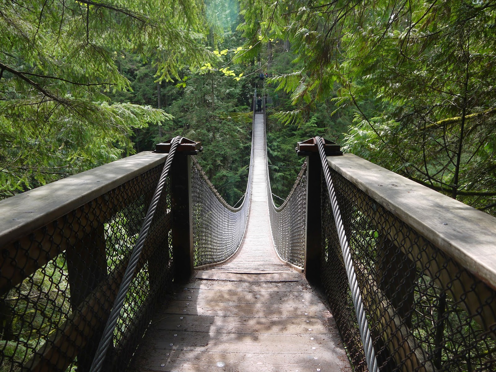 North Vancouver Lynn Valley Canyon Park & Suspension Bridge / Le Park