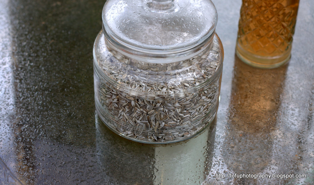 Tofu Photography Sunflower seeds in a jar