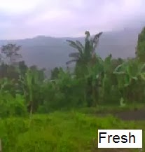 5 Yang Menarik Dari Kota Asahan-Sumatera Utara Asahan-Sumatera Utara