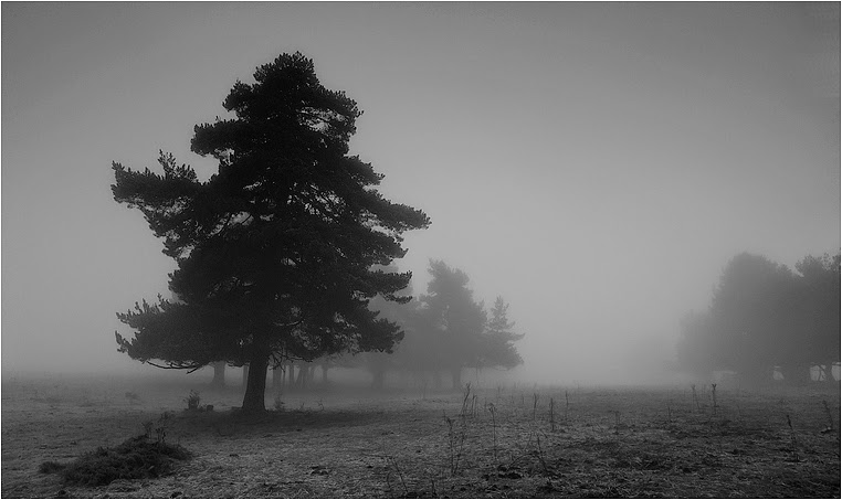 Compact Camera, Best Photo of the Day in Emphoka by Manolo Leiro, Panasonic DMC-LX5, https://flic.kr/p/aSKMf8 Compact Camera, Best Photo of the Day in Emphoka by Manolo Leiro, Panasonic DMC-LX5, https://flic.kr/p/aSKMf8