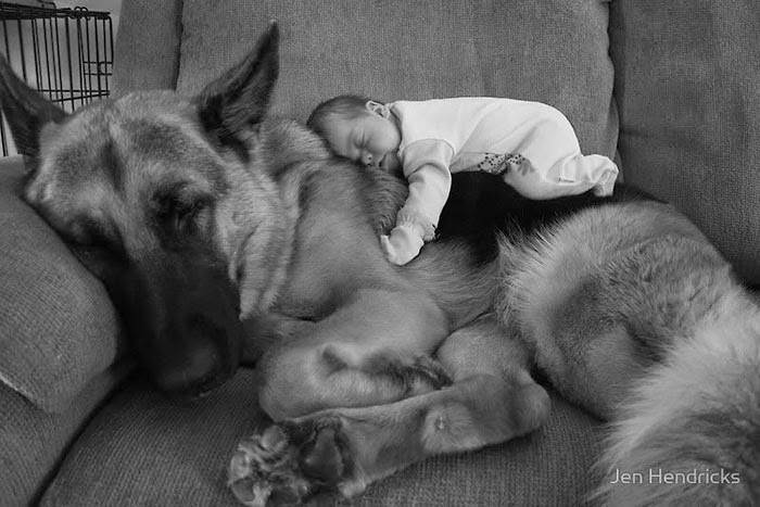 22 Little Kids And Their Big Dogs 22 Little Kids And Their Big Dogs