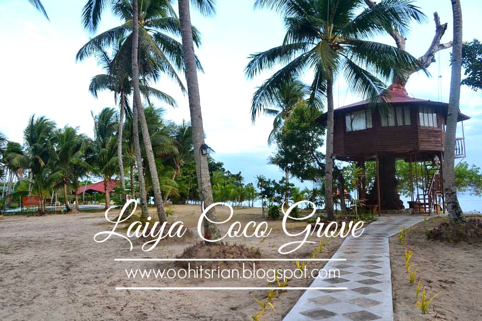 Tree House Batangas Room Rates Tree House Batangas Room Rates