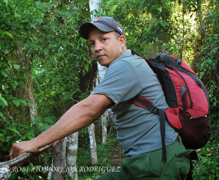 sierra maestra guia del pico turquino sierra maestra guia del pico turquino