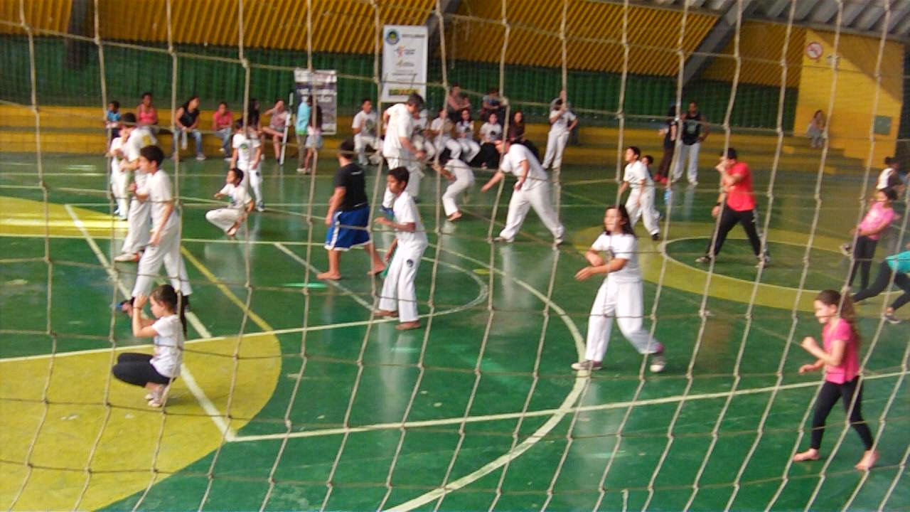 http://capoeirapalmaresdosul.blogspot.com.br/