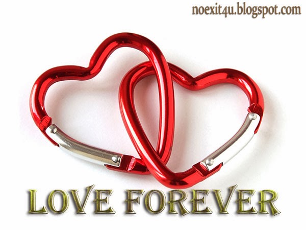 LOVE FOREVER WALLPAPER ~ noexit4u.com