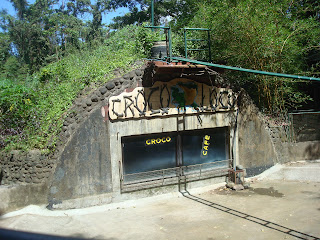 croco loco croco loco in zoobic safari