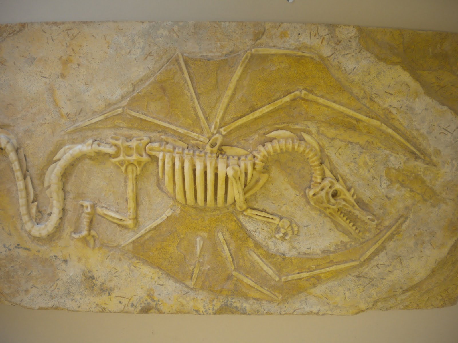 DIREITO À MEMÓRIA: Paleontologia Imaginária (5): Jogo do bicho fóssil