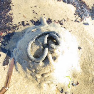 Worm cast at the rear end of a Blow Lug hole. (Arenicola marina)