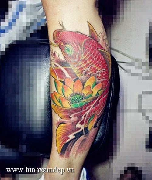 Hình xăm cá chép đẹp - 1