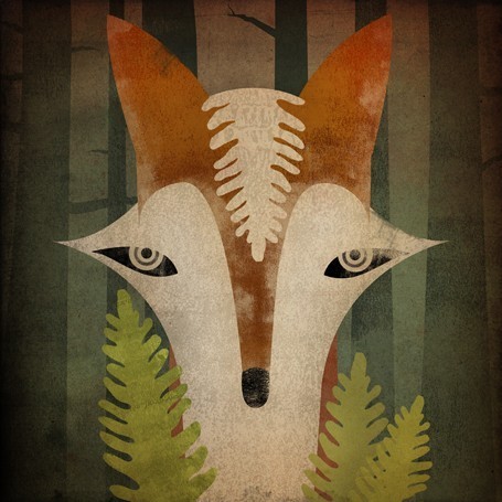 ryan fowler fox
