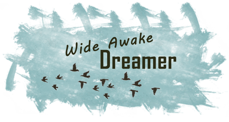 Wide Awake Dreamer