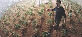 20th Century-Fox Home Entertainment Fumbles Martian Launch — Retailers Get Jump On Jan. 12 DVD and Blu-ray/DVD Combo Pack Landing DVD & Blu-ray Release Report, Ralph Tribbey