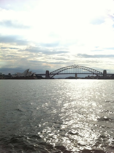 sailing tall ships on beautiful sydney harbour