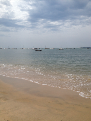 plage du Moulleau Bassin d'Arcachon Nat et nature